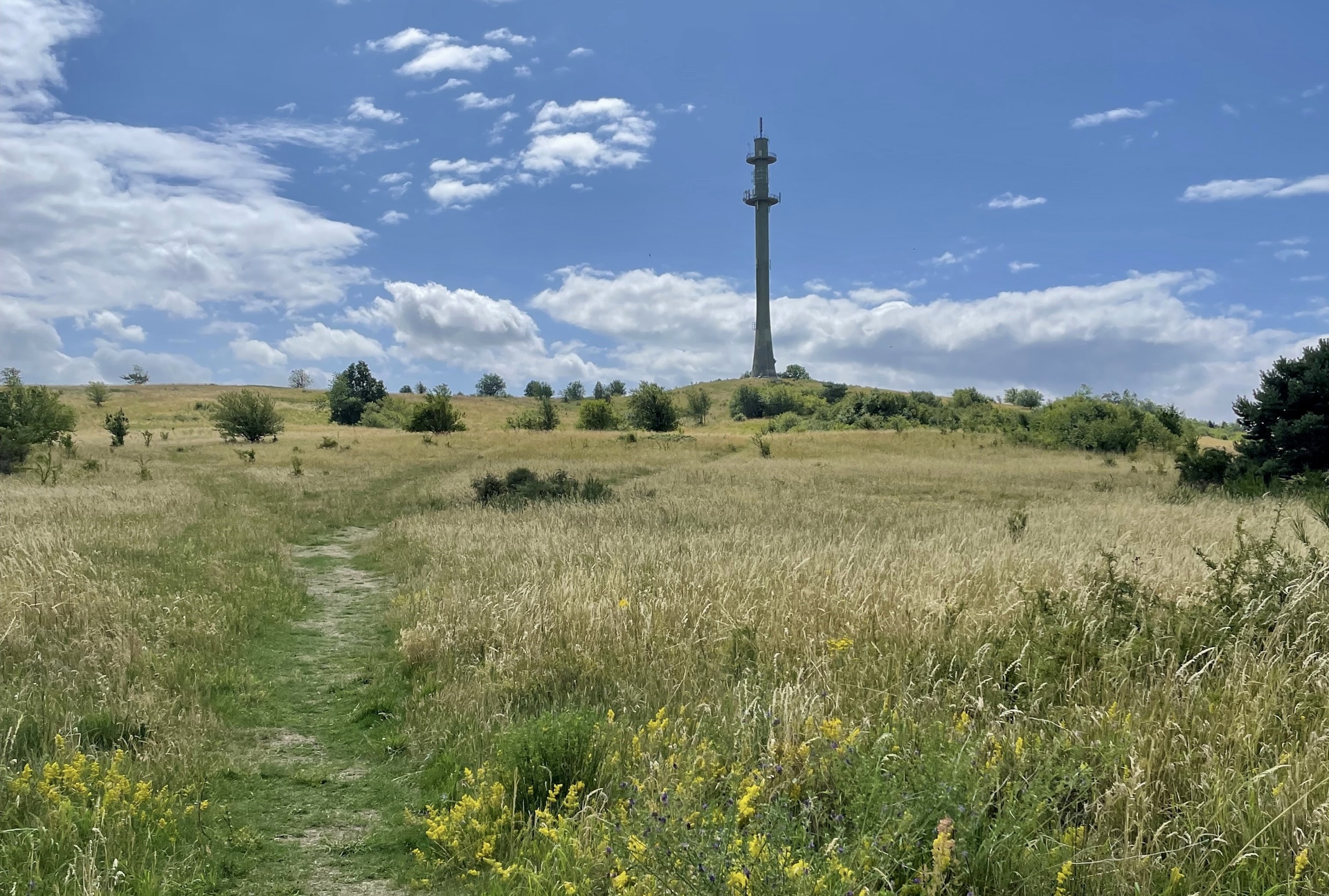 Pmradiotower